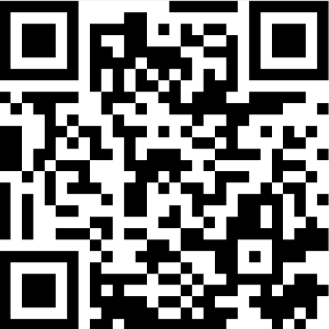Screenshot-2025-04-11-102225